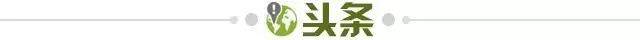 开云在线-【早报】意大利连续三届无缘世界杯!
